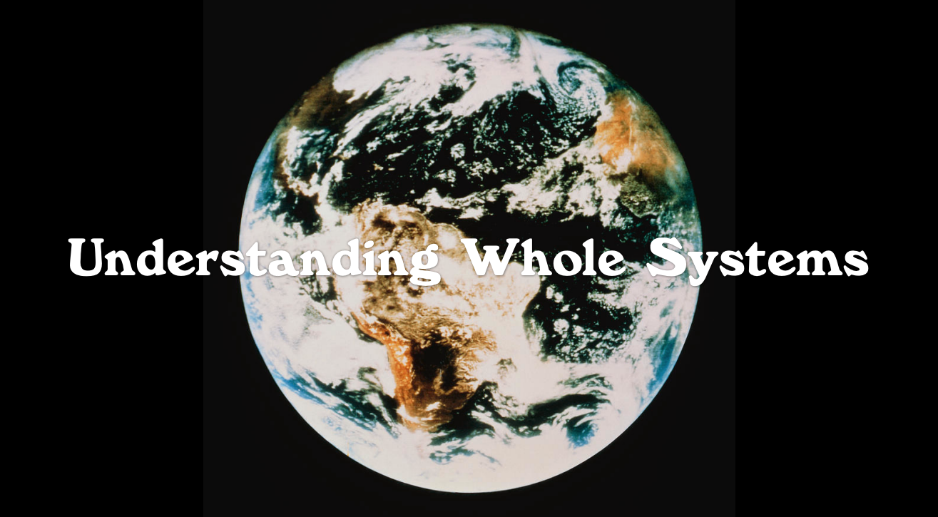 Cybernetics lecture slides preview