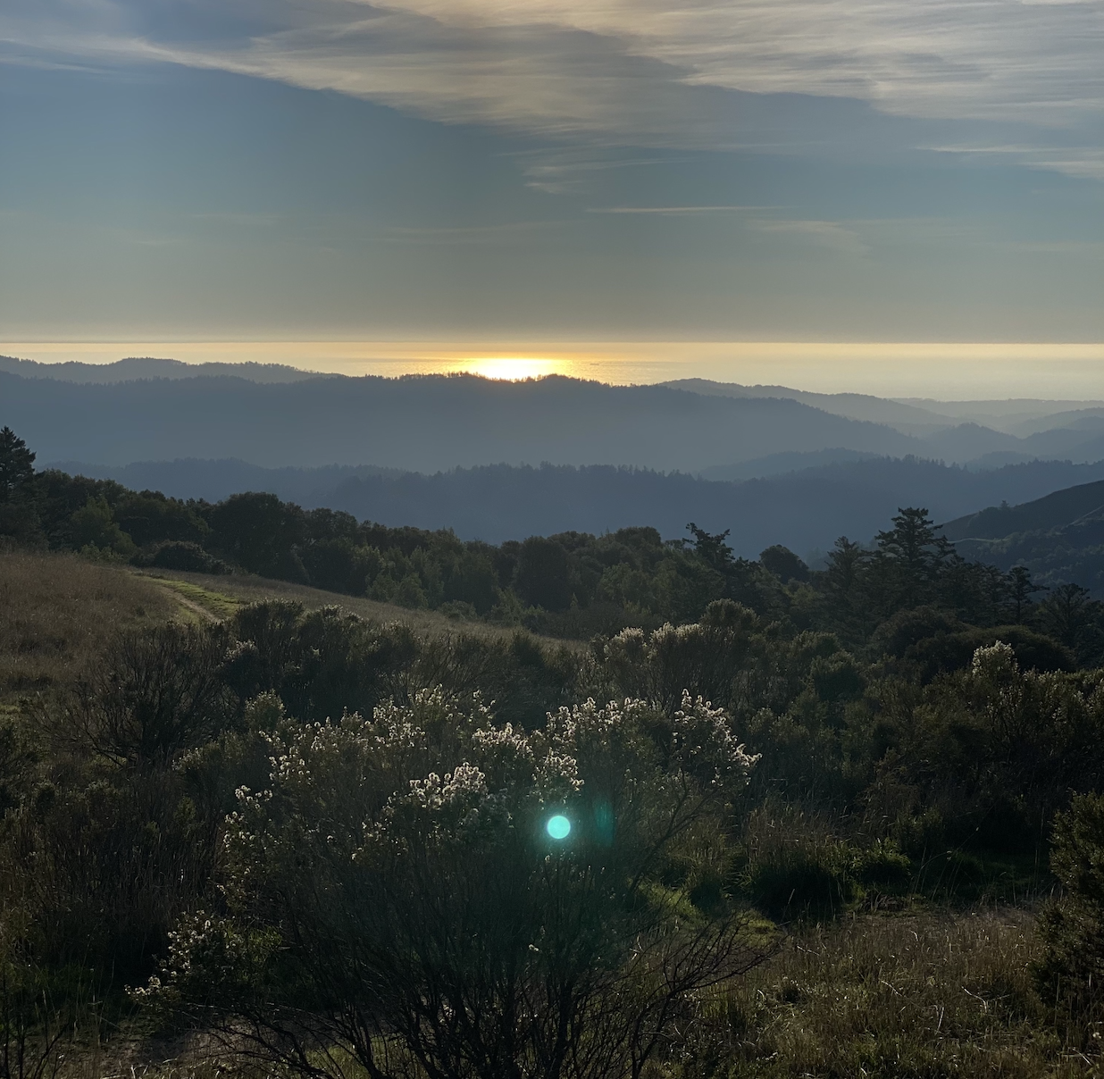 santa cruz mountains